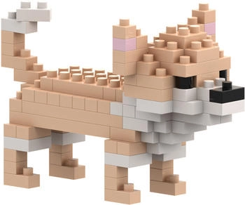Brixies Chihuahua