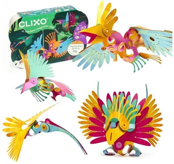 Clixo Tropical Birds