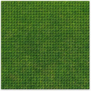Brixies Platte 32 x 32 Rasen Fotorealistische Bauplatte