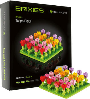Brixies Tulpenfeld (410.142)