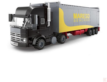 Wange LKW mit Überseecontainer (4971)