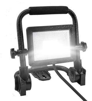 Ansmann FL20W-AC (1600-0632)