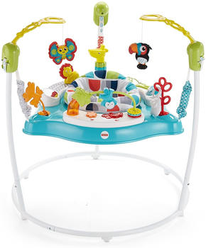 Fisher-Price Color Climbers Jumperoo®