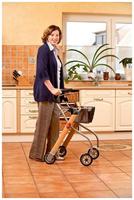 Wohnraum-Rollator Let's Go Silber 1 St