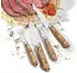 Zassenhaus Steakbesteck 4-teilig, 2 Personen, Edelstahl/Pakkaholz (070835)