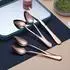 LuxusKollektion Grapefruitlöffel-Set 5-teilig, Edelstahl, roségold, mit Messer
