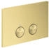 Axor FlushPlate (42530)