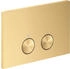 Axor FlushPlate (42530)