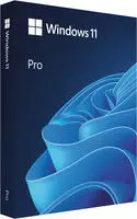 Windows 11 Pro N - Flash drive