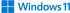 Microsoft Windows 11 Pro