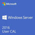 Microsoft Windows Remote Desktop Service 2016 CAL (1 User)