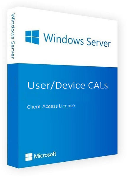 Microsoft Windows Server 2022 Device-CAL (10 Devices)