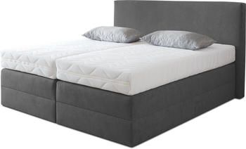 Westfalia Schlafkomfort Boxspringbett 160x200cm H2 Microvelours anthrazit