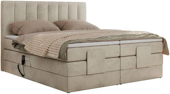 MKS Meble Comforto 140x200cm H3 beige