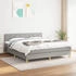 vidaXL Boxspringbett mit Matratze Hellgrau 120x190 cm Stoff (3269779)