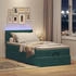 vidaXL Ottomane Bett mit Matratze & LEDs Dunkelgrün 80x200 cm Samt (3312587)