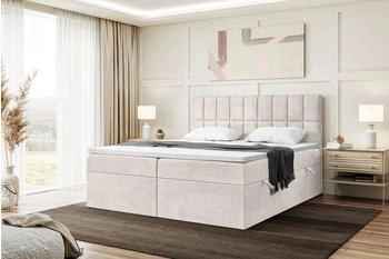 Meblini Boxbett Lukas 180x200 cm Samt beige