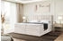 Meblini Boxbett Lukas 180x200 cm Samt beige