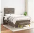 vidaXL Boxspringbett mit Matratze Taupe 120x200 cm Stoff (3137385)