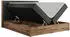 MKS Meble Amore Boxspringbett 180x200 Kunstleder Dunkelgrau, Bettkasten, Eiche-Optik (Amore)