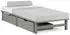 Homestyle4u Bettkasten 2er Set mit Rollen, Holz, Grau (2197)