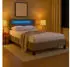 Idimex Polsterbett LASHIO 120x200cm mit LED-Beleuchtung, Samt, Greige (LASHIO)