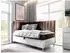 Mirjan24 Boxspringbett Maja Junior 3 Einzelbett mit Bettkasten 100x200 (Maja Junior 3)