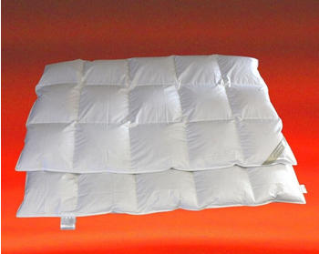 Betten Hofmann Franken155x220 cm 5x7
