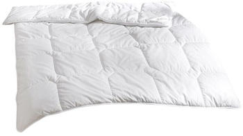 Traumschlaf Thinsulate warm 3M Thinsulate Faser 155x220 cm Traumschlaf Thinsulate warm 3M Thinsulate Faser 155x220 cm