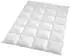 Traumschlaf Arktis warm 155x220 cm