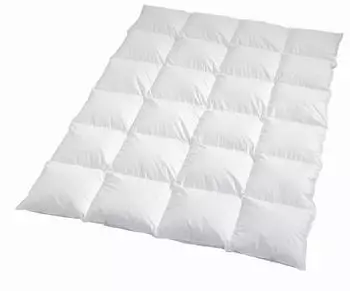 Traumschlaf Arktis extra warm 155x220 cm