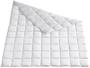 Traumschlaf Arktis leicht 155x220 cm