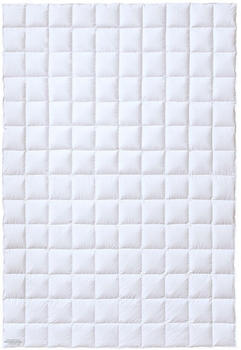 Kauffmann Daunendecke Österreichische Weidegans 135x200 cm leicht (410000) Kauffmann Daunendecke Österreichische Weidegans 135x200 cm leicht (410000)