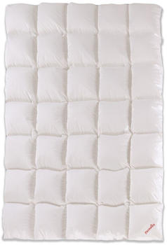Paradies Daunendecke 135x200 cm Ganzjahres Decke Safina 100RDS (97210)