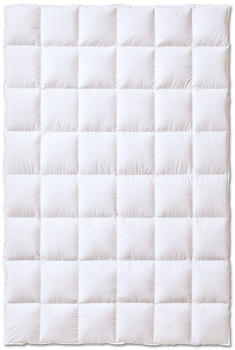 Kauffmann Daunendecke Superior 135x200 cm medium (410253)