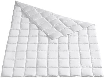 Traumschlaf Daunendecke Arktis leicht 135x200 cm (21373)
