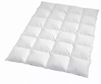 Traumschlaf Daunendecke Himalaya extra warm 135x200 cm (21489) Traumschlaf Daunendecke Himalaya extra warm 135x200 cm (21489)