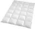 Traumschlaf Daunendecke Himalaya warm 135x200 cm (81464)