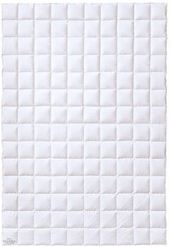 Kauffmann Daunendecke Bavaria 135x200 cm leicht (410066) Kauffmann Daunendecke Bavaria 135x200 cm leicht (410066)