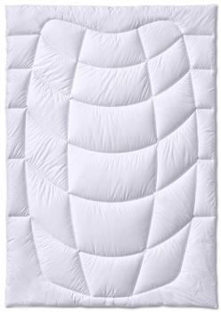 Kauffmann Cashmere Steppdecke 135x200 cm leicht (410452)