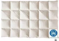 billerbeck Daunenbettdecke "E14 Greta, Bettdecke in 135x200 cm, 155x220 cm, Sommer,