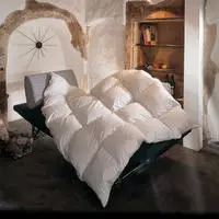BettwarenShop Daunendecke Toronto warm, F&uuml;llung: 90% Daunen 10% Federn 200x220...