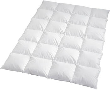 Traumschlaf Daunendecke Arktis warm Daunen 10% Federn 155x200 cm