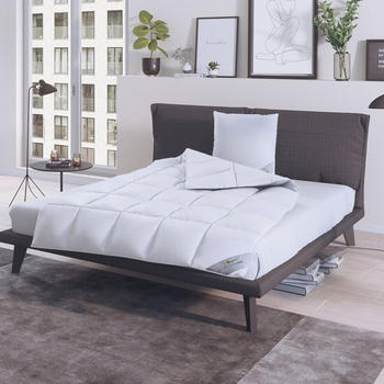 BettwarenShop Daunendecke Select warm 100% Gänsedaunen 160x210 cm