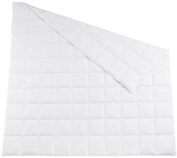Traumschlaf Daunendecke Arktis leicht Daunen 10% Federn 200x200 cm
