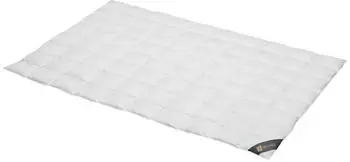 Spessarttraum Daunendecke Bronze extra leicht Daunen 10% Federn 200x200 cm