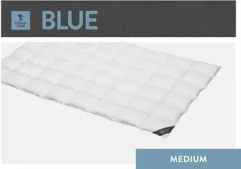 Spessarttraum Daunendecke Blue medium 60% Daunen, 40% Federn 200x200 cm