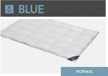 Spessarttraum Daunendecke Blue normal 60% Daunen, 40% Federn 200x200 cm