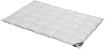 Spessarttraum Daunendecke Silber normal 100% Daunen 200x200 cm