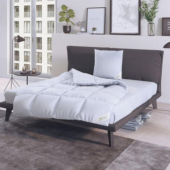 BettwarenShop Daunendecke Comfort extra warm 60% Daunen, 40% Federn 155x220 cm